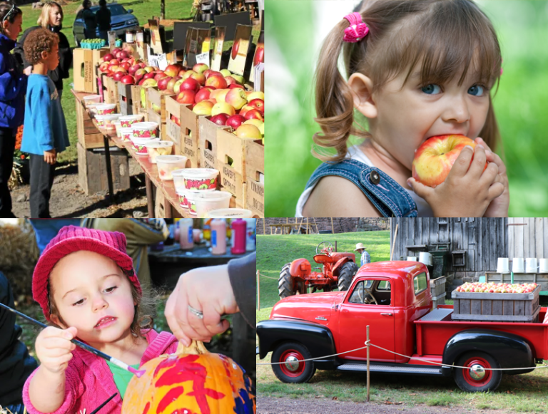 Hay Creek Apple Festival and Flea and Craft Market Hay Creek Valley