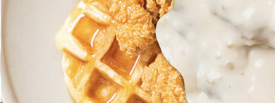 Photo of old tractor at Hay Creek Festival